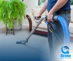 A technician performing hot water extraction on a carpet, demonstrating advanced residential carpet cleaning techniques in a modern home.