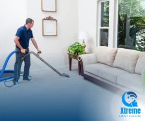 A professional cleaner using a hot water extraction machine on a residential carpet in a sunlit living room